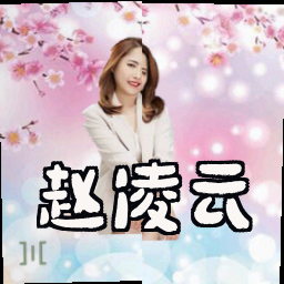 赵凌云